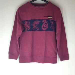 Harry Potter Hogwarts Youth XL House Mascots Long Sleeve Sweatshirt Pocket Owl